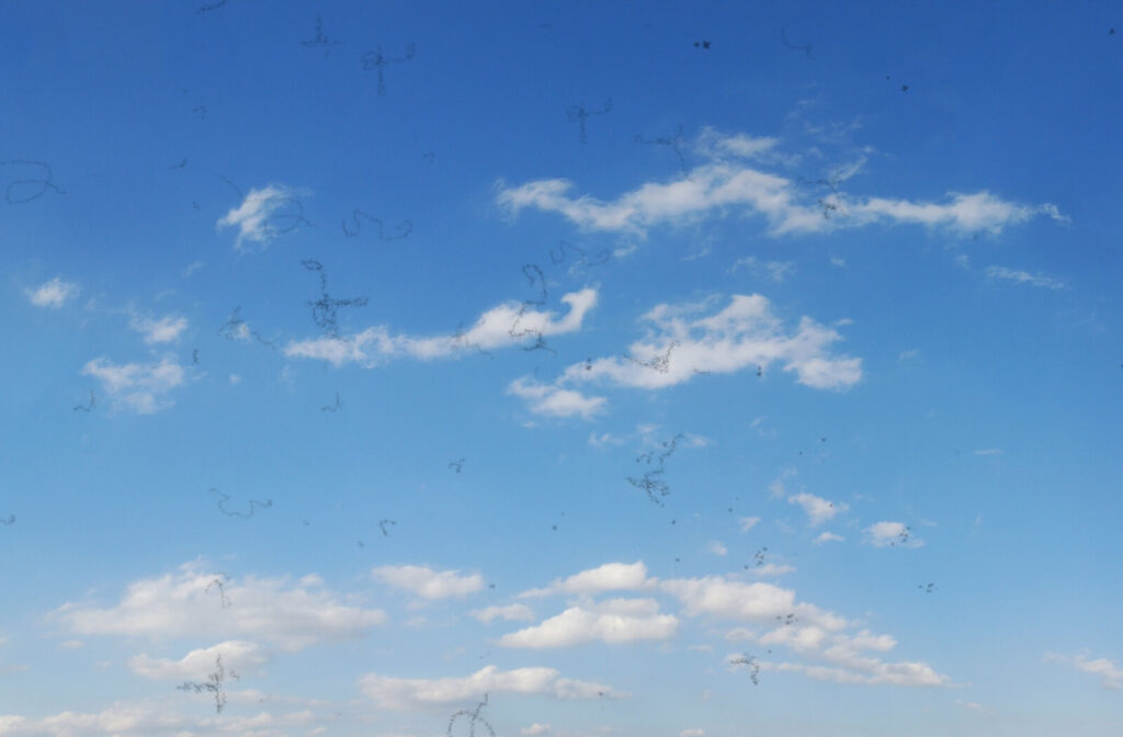 An image of a cloudy blue sky with floaters blocking part of the view.